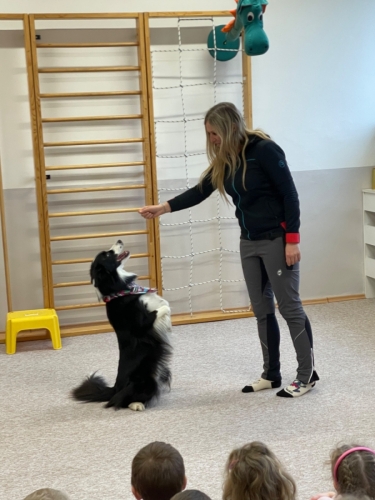 Tančící pes Karel